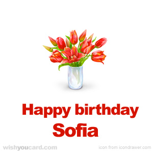 happy birthday Sofia bouquet card