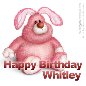 happy birthday Whitley rabbit card