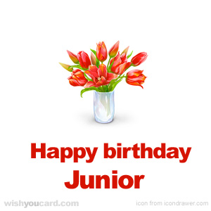 happy birthday Junior bouquet card