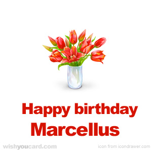 happy birthday Marcellus bouquet card