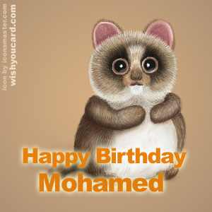 happy birthday Mohamed racoon card